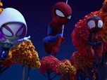 Spidey et ses amis extraordinaires Spidey et ses amis extraordinaires