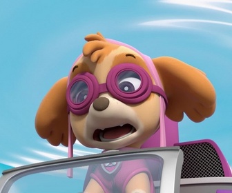 Paw Patrol, la Pat'Patrouille - Galinetta pilote un avion