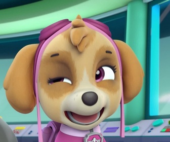 Paw Patrol, la Pat'Patrouille - La pâte à pizza