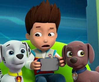 Paw Patrol, la Pat'Patrouille - Un abri pour la nuit
