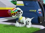Paw Patrol, la Pat'Patrouille