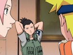 Naruto Naruto