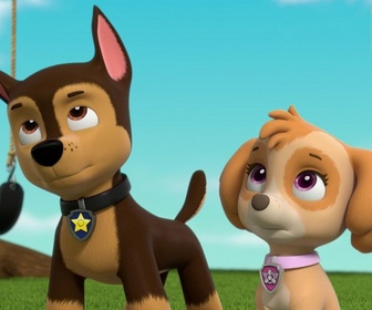 Paw Patrol, la Pat'Patrouille - Galinetta pilote un avion