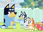 Bluey