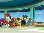 Paw Patrol, la Pat'Patrouille