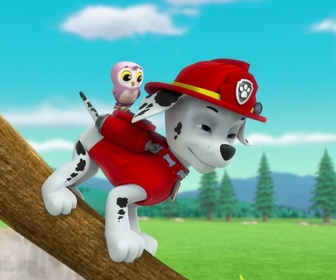 Paw Patrol, la Pat'Patrouille - Le collier porte-bonheur