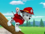 Paw Patrol, la Pat'Patrouille Paw Patrol, la Pat'Patrouille