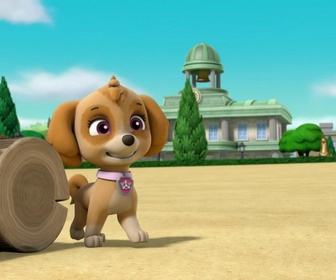 Paw Patrol, la Pat'Patrouille - Yoga à la ferme