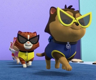 Compilation Paw Patrol, la Pat'Patrouille 20