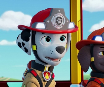 Paw Patrol, la Pat'Patrouille - Mission Pompiers : L'anniversaire de Bonnie
