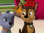 Paw Patrol, la Pat'Patrouille