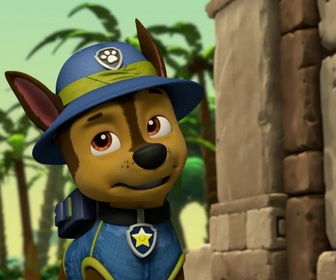 Paw Patrol, la Pat'Patrouille - Un labyrinthe au milieu de la jungle