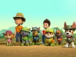 Paw Patrol, la Pat'Patrouille