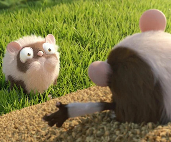 Les as de la jungle à la rescousse - 23/01/2026