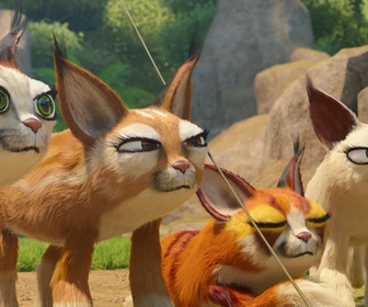 Les as de la jungle à la rescousse - 15/01/2026