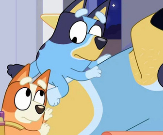 Bluey - 14/02/2026