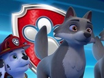 Paw Patrol, la Pat'Patrouille