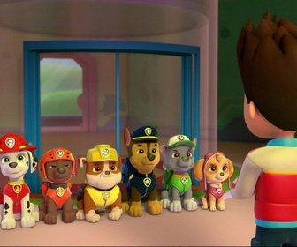 Paw Patrol, la Pat'Patrouille - Joyeux anniversaire, Chase !