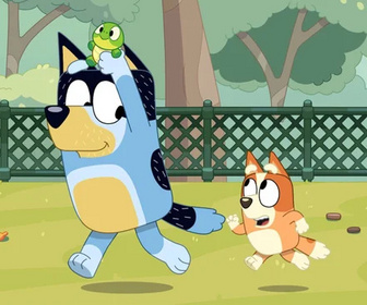 Bluey - Bébé tortue