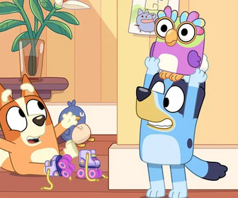Bluey - 21/02/2026