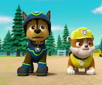Paw Patrol, la Pat'Patrouille - Le mystérieux trésor