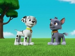 Paw Patrol, la Pat'Patrouille