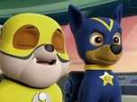 Paw Patrol, la Pat'Patrouille