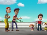 Paw Patrol, la Pat'Patrouille