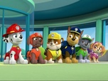 Paw Patrol, la Pat'Patrouille