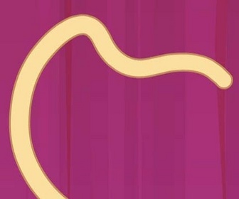 Polly Pocket - Dans la peau de Dulce