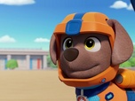 Paw Patrol, la Pat'Patrouille Paw Patrol, la Pat'Patrouille