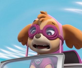 Paw Patrol, la Pat'Patrouille - Galinetta pilote un avion