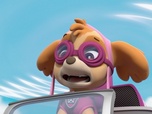 Paw Patrol, la Pat'Patrouille