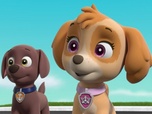 Paw Patrol, la Pat'Patrouille Paw Patrol, la Pat'Patrouille