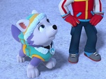 Paw Patrol, la Pat'Patrouille