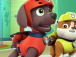 Paw Patrol, la Pat'Patrouille