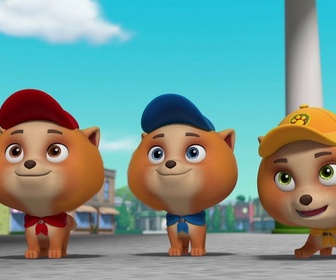 Compilation Paw Patrol, la Pat'Patrouille 35
