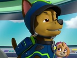 Paw Patrol, la Pat'Patrouille Paw Patrol, la Pat'Patrouille