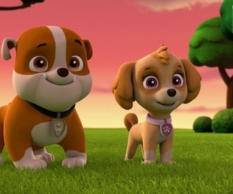Paw Patrol, la Pat'Patrouille - Sauvetage extrême : Mystérieuses disparitions