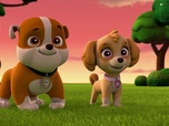 Paw Patrol, la Pat'Patrouille