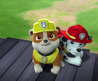 Paw Patrol, la Pat'Patrouille - La journée de l'Amitié - 22'