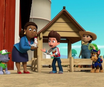 Compilation Paw Patrol, la Pat'Patrouille 29