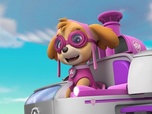 Paw Patrol, la Pat'Patrouille