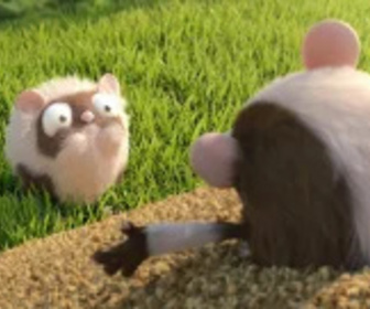 Les as de la jungle à la rescousse - 24/01/2026