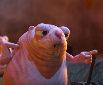 Les as de la jungle à la rescousse - 01/02/2026