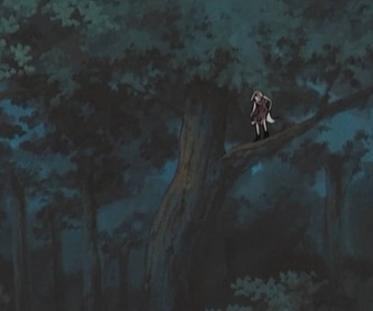 Naruto - S6 E8 - Enfin une mission de rang S !