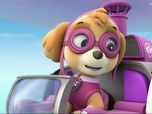Paw Patrol, la Pat'Patrouille