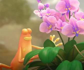 Les as de la jungle à la rescousse - 21/12/2025