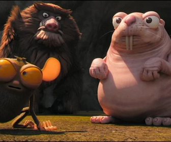 Les as de la jungle à la rescousse - 25/02/2026