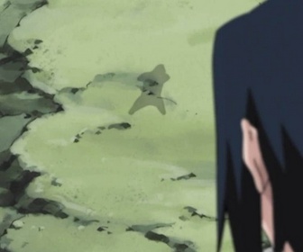 Naruto - S5 E25 - Un cri égaré !